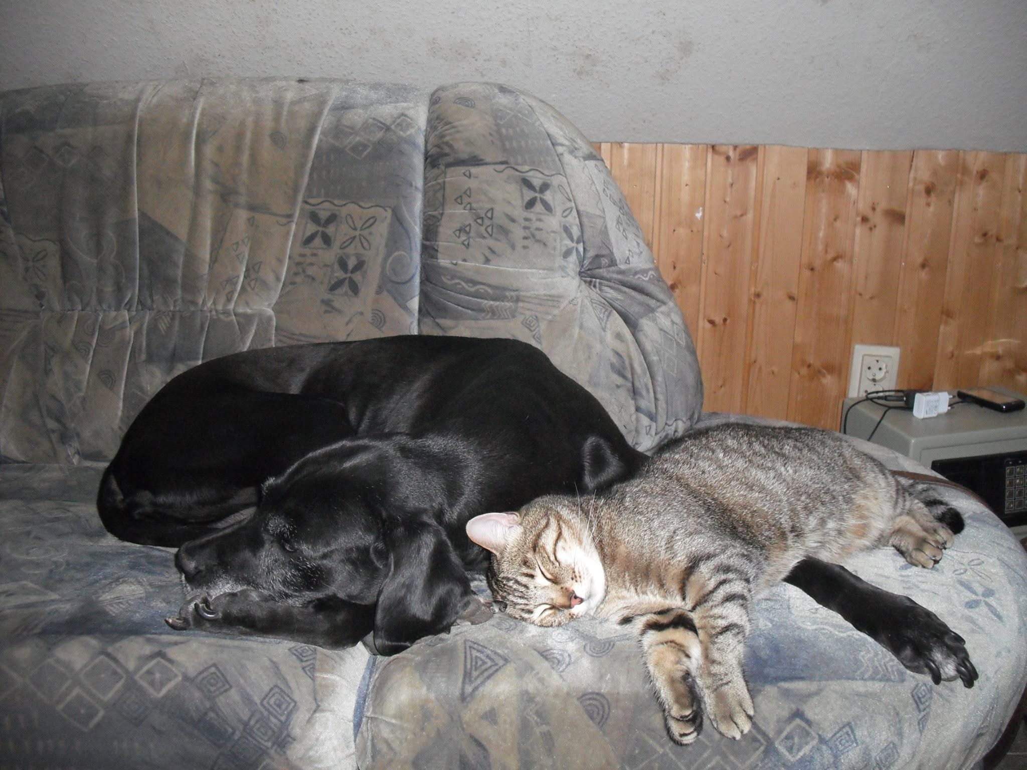 Mucky & kimba